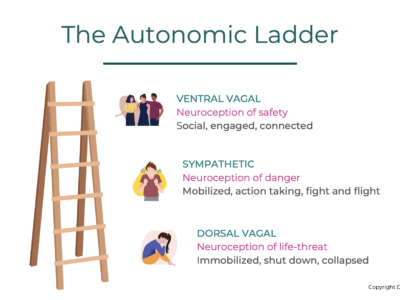 Autonomic Mapping Activity